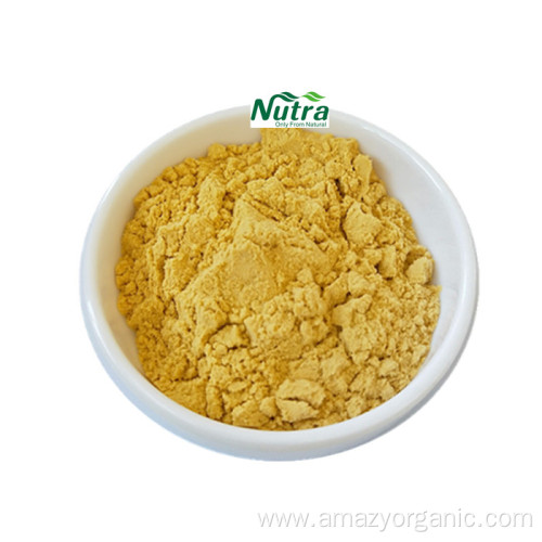 High Quality Sophora Japonica Extract Kaempferol Powder